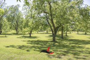pecan grove for homepage